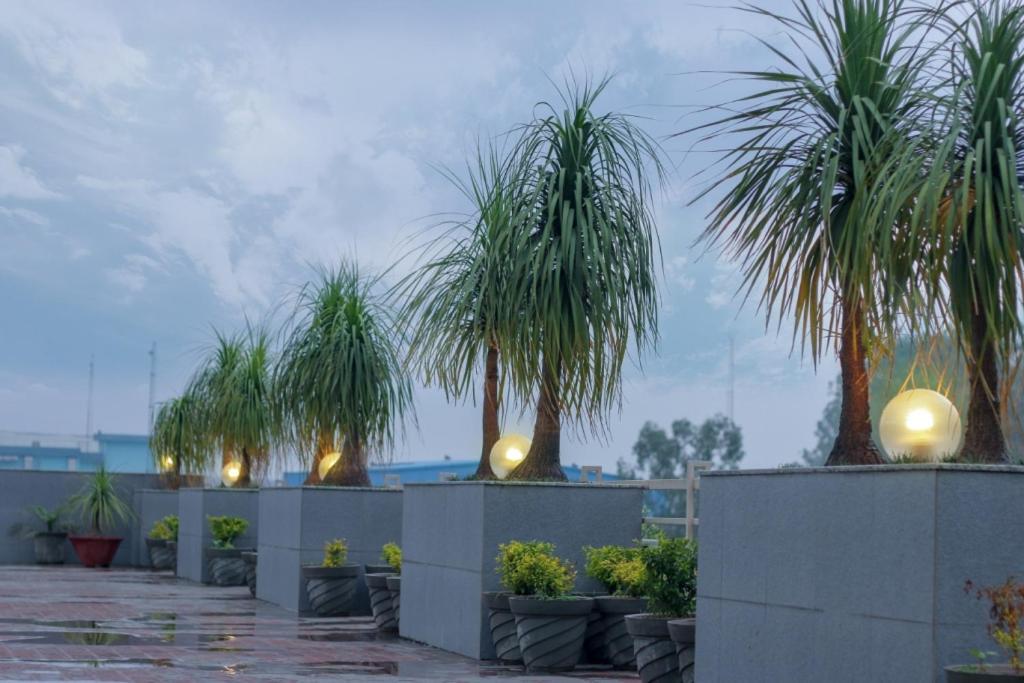 Mg Regency Hotell Baddi Exteriör bild